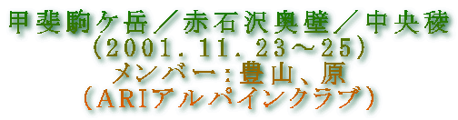 甲斐駒ケ岳/赤石沢奥壁/中央稜
(2001.11.23〜25)
メンバー:豊山、原
(ARIアルパインクラブ)