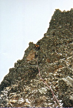 ���_�I�j�S�F�P�s�b�`�ځi�����[�h�j